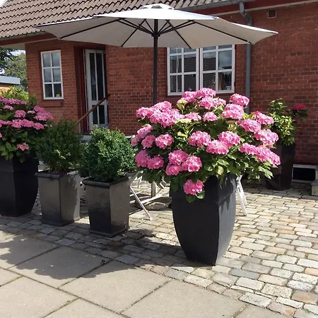 Bed & Breakfast Hannas - 51 M2 3*