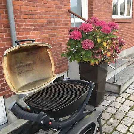 Hannas - 51 M2 3*