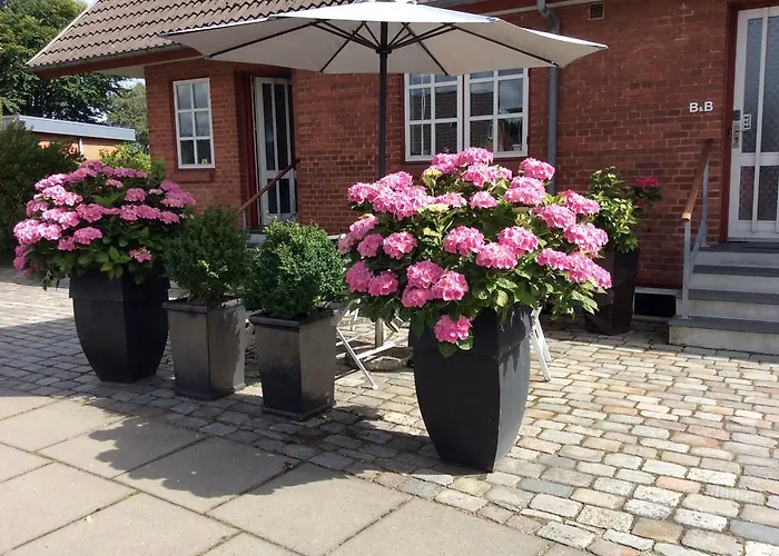 Bed & Breakfast Hannas - 51 M2 3*